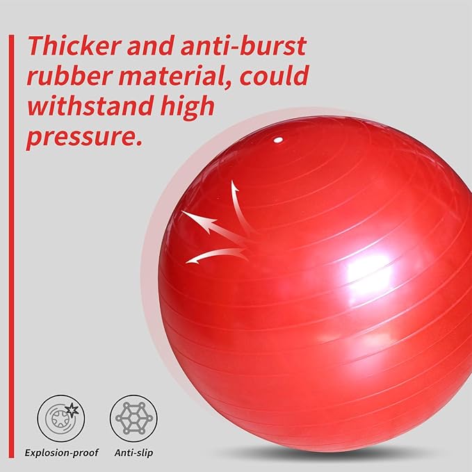 17-Inch Equine Ball for Play & Training - Anti-Burst, Mega Horse Soccer Ball for Goat, Donkey-PawvioPets