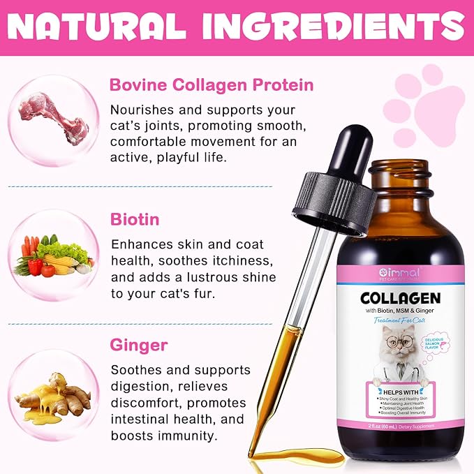 Collagen for Cats, Daily Liquid Collagen Drops for Cats with Allergies, Biotin, Vitamin C and Hyaluronic Acid, Improves Mobility Skin and Coat Health, Itch Relief for Cat, Salmon Flavor, 60ML-PawvioPets