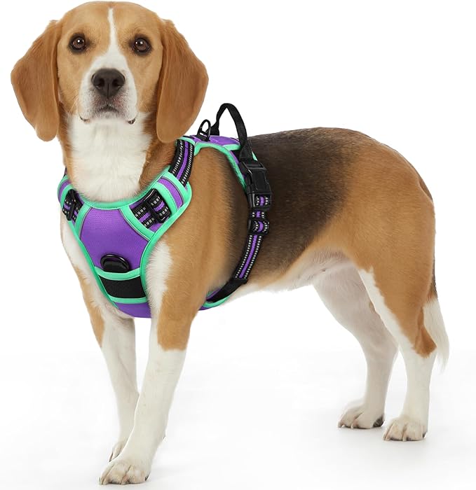Eagloo Dog Harness Small Sized Dog, No Pull Service Vest with Reflective Strips and Control Handle, Adjustable and Comfortable for Walking, No Choke Pet Harness with 2 Metal Rings, Purple & Green, S-PawvioPets