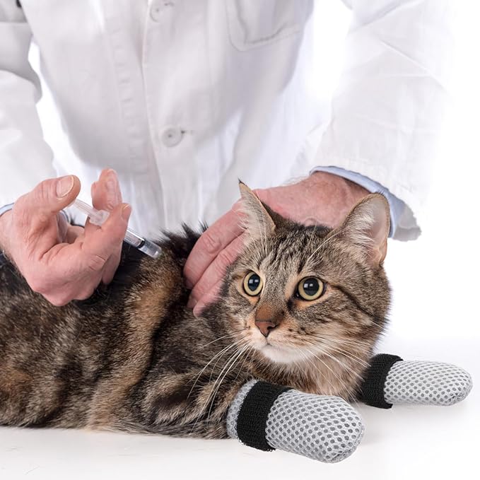 4Pcs Cat Nail Caps, Cats Booties Mittens Paw Covers Caps Shoes for Bathing Shaving Checking Nail Cutting, Pet Grooming Socks AntiScratch Adjustable Pet Claw Protector Foot Sleeves, Grey M-PawvioPets