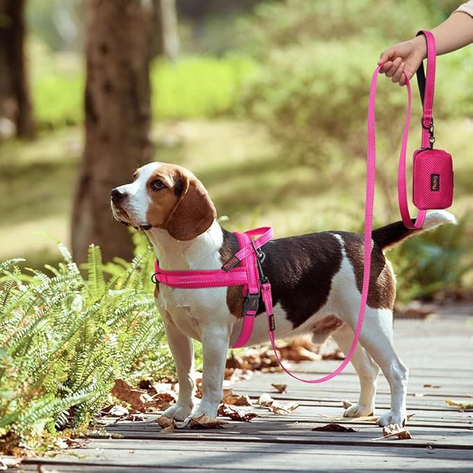 Didog No Pull Dog Harness with Soft Mesh Padded,Reflective & Quick Fit Light Weight Dog Strap Vest Harness,Easy for Walking Training (M:Chest 21-26", Mesh-Hot Pink)-PawvioPets