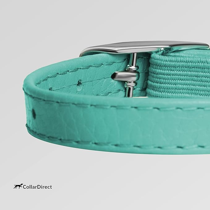 CollarDirect Leather Cat Collar, Cat Safety Collar with Elastic Strap, Kitten Collar with Bell Black Blue Red Orange Lime Green (8-11 Inch, Mint Green)-PawvioPets