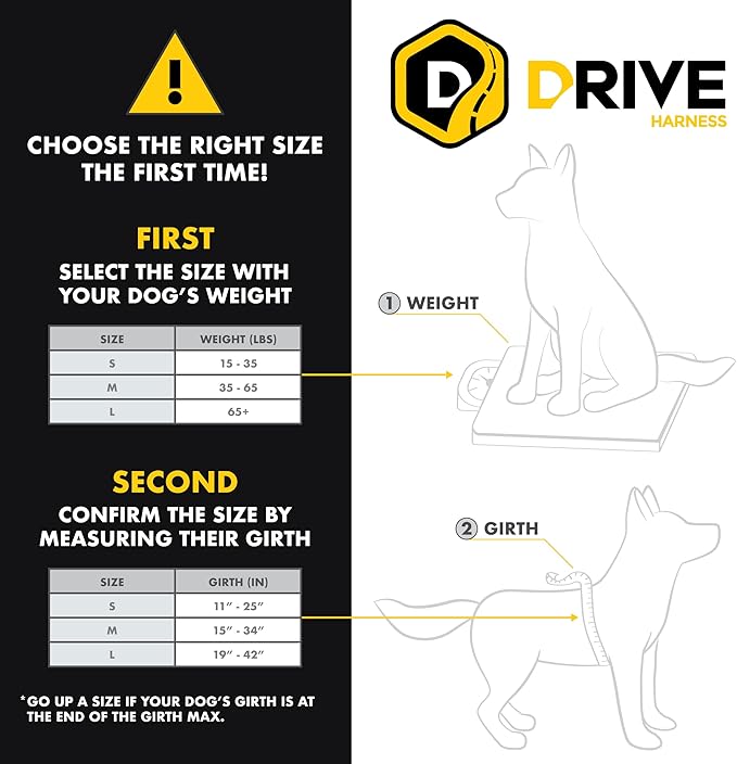 EzyDog Drive Dog Car Harness – Crash Tested and Certified (US-FMVSS 213) Dog Seat Belt Harness for Safe Travel, Adjustable with Padded Comfort (Small)-PawvioPets