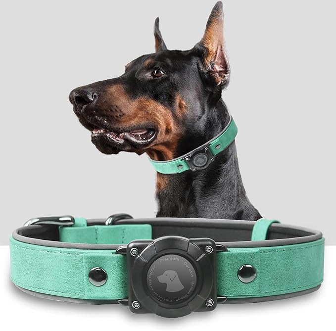 AirTag Dog Collar - Leather Dog Collar with Air Tag Holder | IPX8 Waterproof, Reflective, High - End, Adjustable Soft Padded | Dog GPS Tracker Collars Fit for Medium Large Dogs (Teal, M)-PawvioPets