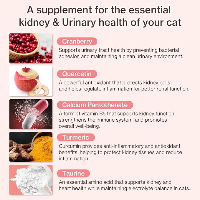 Dr.by UT Care Cat UTI Kidney Support Urinary Supplement Cranberry Treatment for Cats Renal Health with Pacran, Quercetin, Taurine lickable Formula Individually Packaged (1 Pack)-PawvioPets