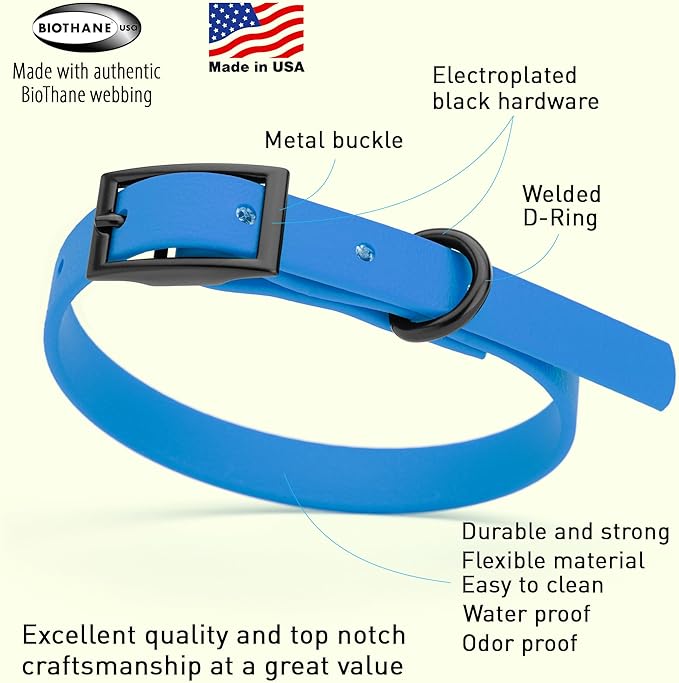 Dogline Biothane Waterproof Dog Collar Strong Coated Nylon Webbing with Black Hardware Odor- Proof for Easy Care Easy to Clean High Performance Fits Small Medium or Large Dogs, Cerulean Blue-PawvioPets