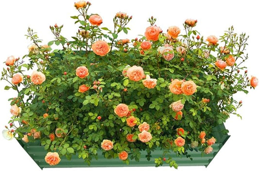 4x4x1ft Metal Raised Garden Bed Kit，Galvanized Garden Bed Box for Vegetables, Flowers, Herbs, and Succulents,120 Gallon Capacity - Green-PawvioPets