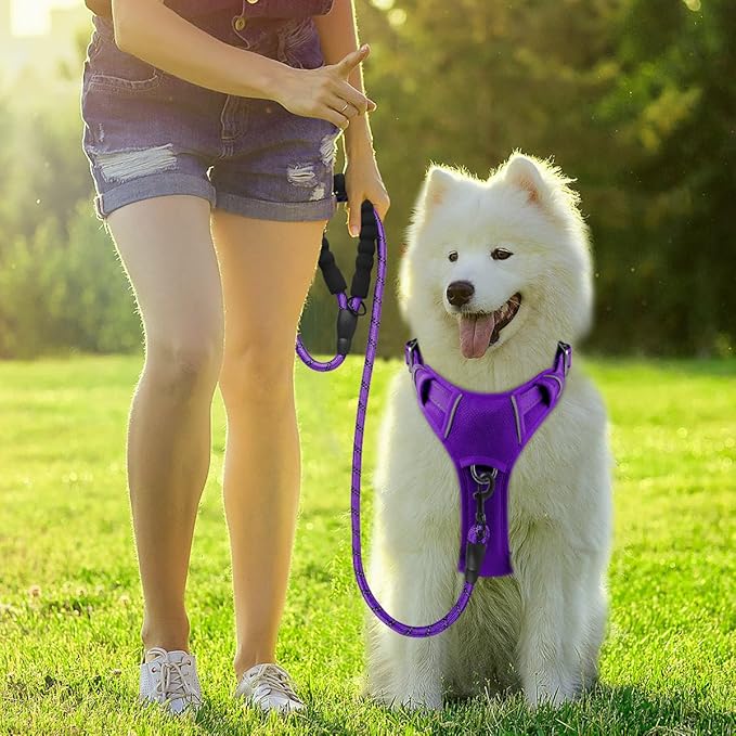 BARKBAY Dog Harness No Pull with ID Tag Pocket - Heavy Duty, Reflective, Easy Control for Large Dogs(Purple,XL)-PawvioPets