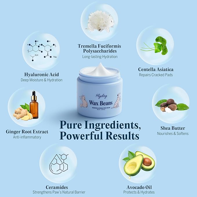 Flydog Wax Beans Fragrance-Free Pet Paw & Nose Balm Cream – Moisturizing, Soothing & Repairing Dry, Cracked Pads for Dogs, Cats & Small Animals, Avocado Oil Multi-Purpose Paw & Nose Protector, 50ml-PawvioPets