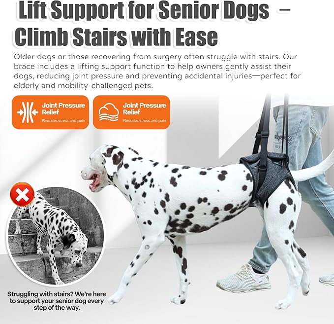 Dog Sling for Medium Large Dog Rear Leg, Lift Harness Provide Support with Muscle Atrophy and Joint Problems for Elderly Injured Arthritic Pet, Dog Weak Rear Legs Provides Rehabilitation Aid-PawvioPets