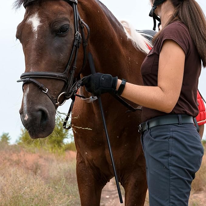 18-inch Horse Riding Crop 2-Piece Set, Black-PawvioPets