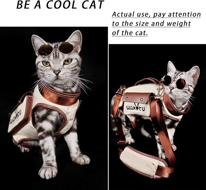 Dog Lift Harness Dog Carrier VES Harness Adjustable Leash with Small Puppy Treat Bag,Fits Most Cars,XS-PawvioPets