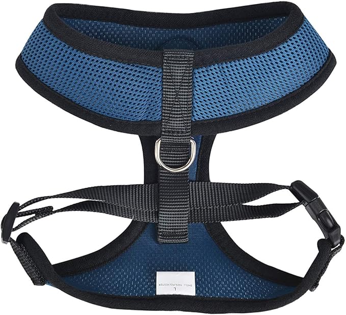 BINGPET Dog Vest Harness -Light Weight Breathable Sports Mesh - Pet Adjustable Harness Puppy Padded Harnesses Dog Vest Harness for Small Dogs-PawvioPets