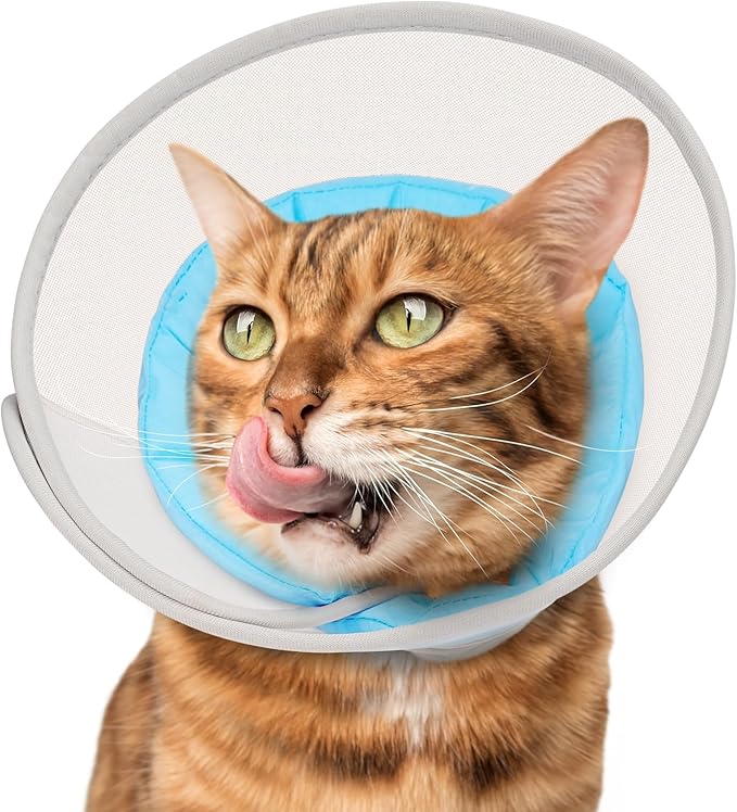 Cat Cone Collar Soft: Comfortable Waterproof Mesh Recovery Cone After Surgery to Stop Licking and Scratch, Alternative to Plastic Elizabeth Head/Neck Cone-PawvioPets