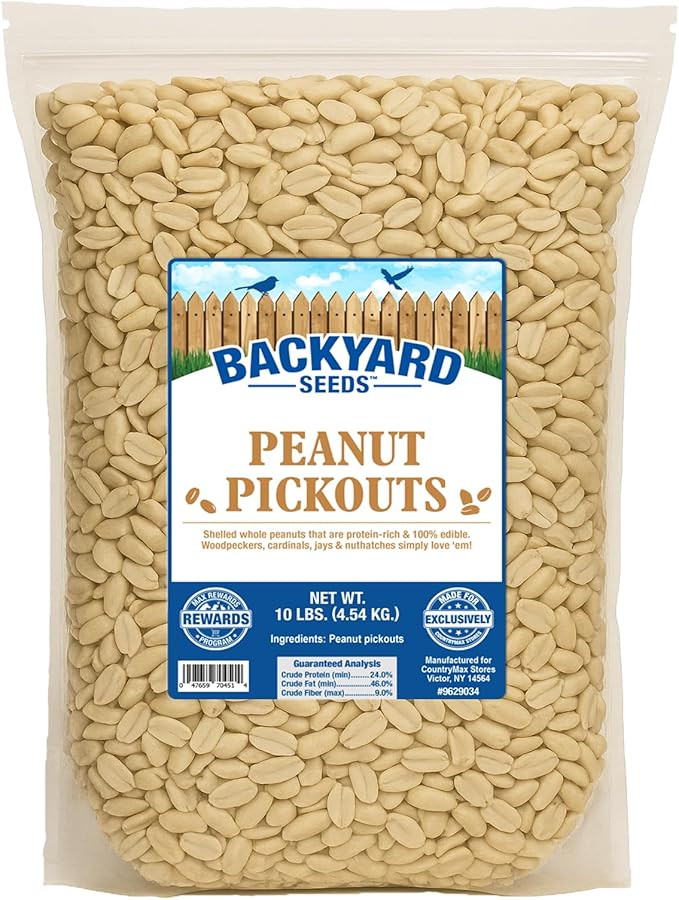 CountryMax Backyard Seeds Shelled Whole Peanuts for Woodpeckers, Birds, Squirrels & Wildlife – Premium Wild Animal Food, 10 lbs Bag-PawvioPets