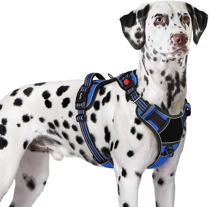 Eagloo Dog Harness for Large Dogs, Easy Wearing with 3 Buckles, Adjustable No Pull Pet Harness with 2 Rings for Walking, No Chock Reflective Soft Padded Vest with Control Handle, Blue & Black, XL-PawvioPets