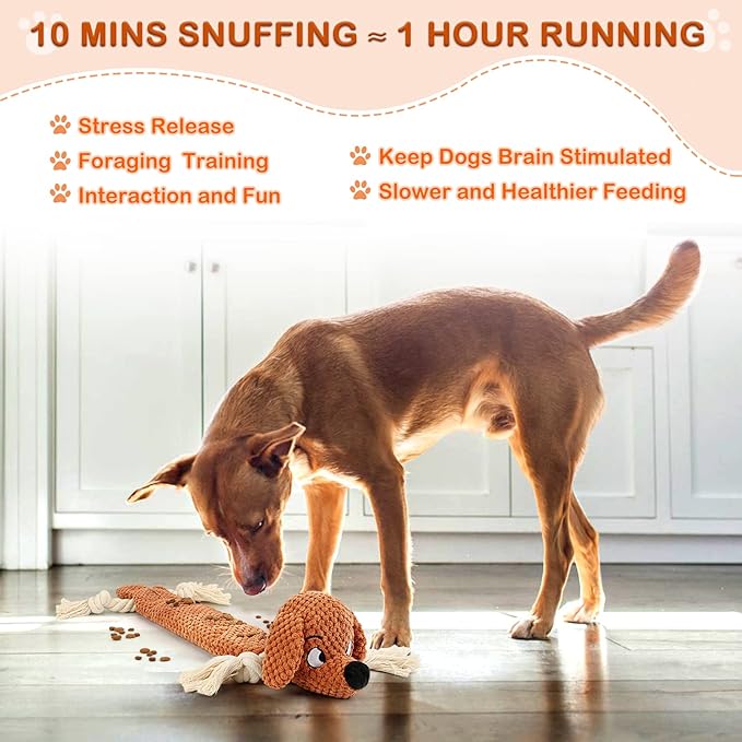 Dog Toys,Squeaky Dog Chew Toy with Crinkle Paper,Interactive Tough Plush Rope Toys for Small Medium Large Dogs with Gift Boxes-PawvioPets