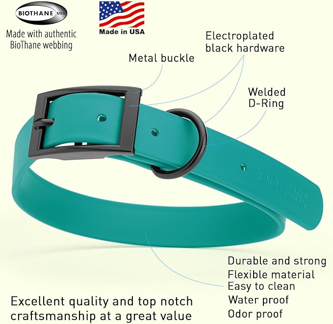 Dogline Biothane Waterproof Dog Collar Strong Coated Nylon Webbing with Black Hardware Odor- Proof for Easy Care Easy to Clean High Performance Fits Small Medium or Large Dogs, Blue Aqua-PawvioPets
