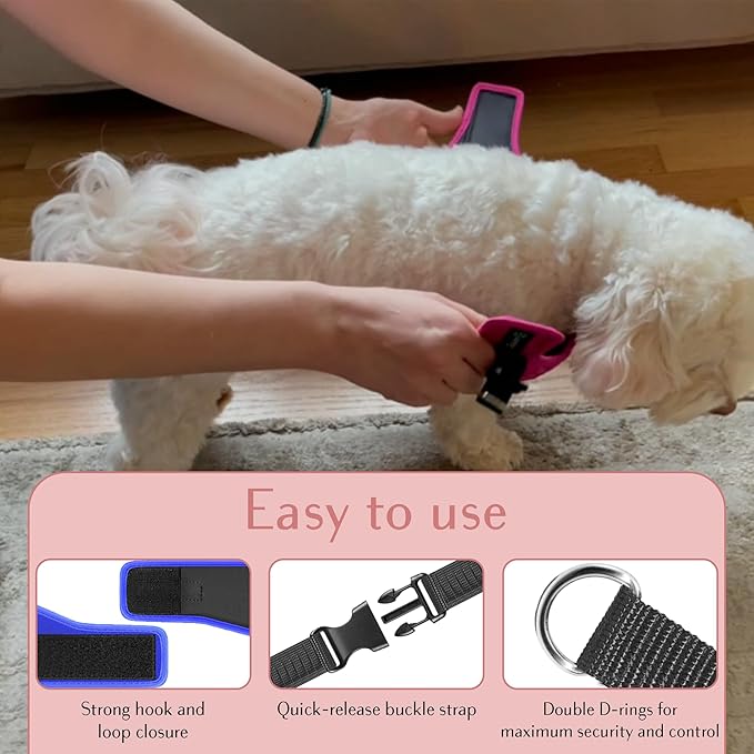 Comfort Fit No Pull Dog Harness – Adjustable Step-in Vest for Small, Medium & Large Dogs, Soft Padded with Leash Clips, Reflective Straps & Handle-PawvioPets