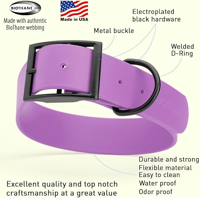 Dogline Biothane Waterproof Dog Collar Strong Coated Nylon Webbing with Black Hardware Odor- Proof for Easy Care Easy to Clean High Performance Fits Small Medium or Large Dogs, Amethyst Purple-PawvioPets