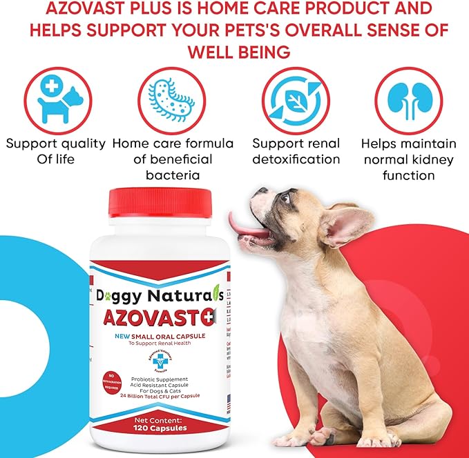 Azovast Plus Kidney Health Supplement for Dogs & Cats, 360ct - NO Refrigeration Required - Help Support Kidney Function & Manage Renal Toxins - Renal Care Supplement Capsule(U.S.A)(360 Caps)-PawvioPets