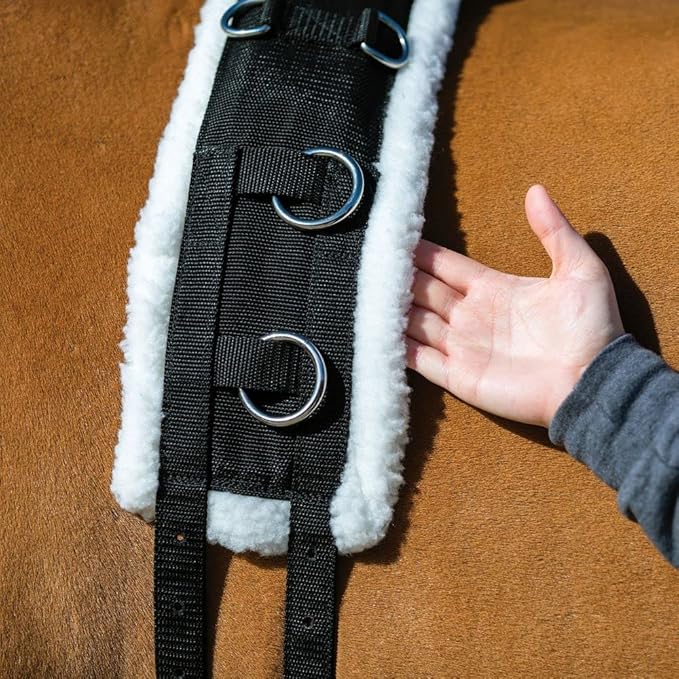Dura-Tech Fleece Lined Training Surcingle for Horses | Essential for Lunging Work | Comfortable Fleece Lining | Durable Poly Material | Versatile D-Ring Placement | Suitable for All Training Levels-PawvioPets