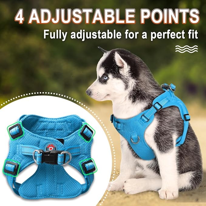 Dog Harness Step in Dog Vest Harness, Reflective Adjustable Puppy No Pull Harness Breathable Soft for Small and Medium Dogs Cats, Blue, XS-PawvioPets