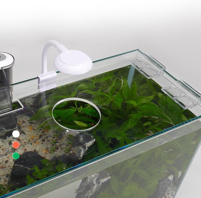 3 Gallon Glass Small Fish Tank, Betta Fish Tank Starter Kit with Filter, Lights,Lid.-PawvioPets