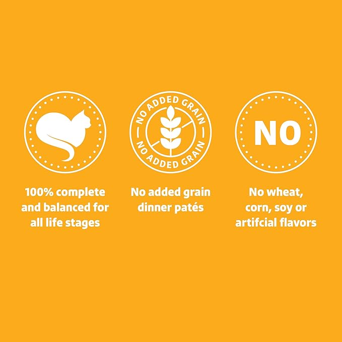 Amazon Brand - Wonder Bound Wet Cat Food, Paté, No Added Grain, 3 oz cans, Pack of 24 (Chicken)-PawvioPets