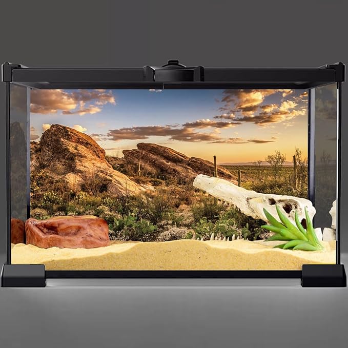AWERT Terrarium Background 36x18 inches Reptile Habitat Background Blue Sky Oasis Cactus Sun and Desert Terrarium Background Polyester Terrarium Background-PawvioPets