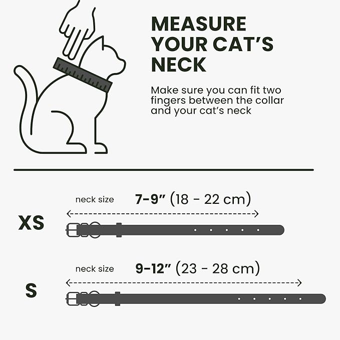 BRONZEDOG Leather Cat Collar with Removable Bells Non Breakaway Kitten QR Tag for Girl Boy (9" - 12" Cats/Mini Dogs, Black & Silver)-PawvioPets