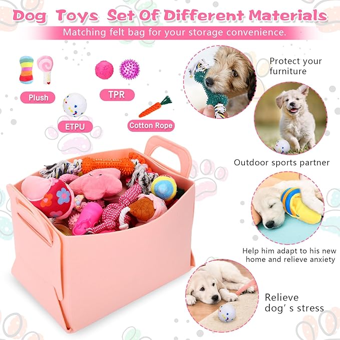 65 Pcs Puppy Supplies Starter Kit Small Dog Essentials Includes Dog Leash, Toys, Bowl, Brushes, Water Bottles, pet Blankets Puppy Accessories for New Welcome Gift Supplies(Cute,Pink)-PawvioPets