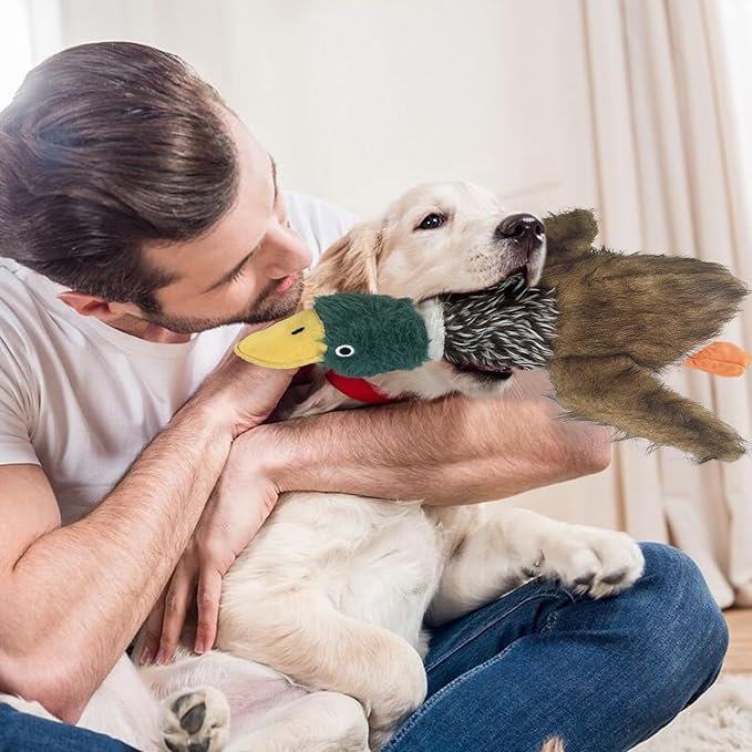 2 PCS Mallard Duck Dog Toys Squeaky D og Toy ,Stuffed Pheasant Do g Chew Toys Plush Mallard Duck Do g To y Interactive Do g Toys to Keep Them Busy , Pheasant Dog To y for Small Middle and Large Dogs-PawvioPets