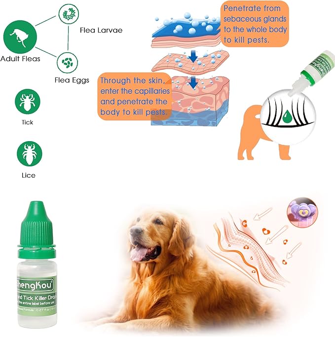 Flea and Tick Collar for Small Dog, Made with Natural Plant Based Essential Oil, Safe and Waterproof, Free Comb and Prevention Treatment Drop, 2x6 Month, 13.8 in (2 Packs)-PawvioPets