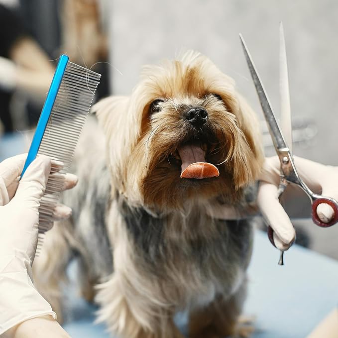 2 Pack Dog Combs with Stainless Steel Teeth Applicable to Cat Dog Comb Removing Tangles Easily Remove Dirt Grooming Anti-Slip Comfort Grip Handle （blue）-PawvioPets