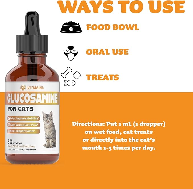 Glucosamine for Cats | Cat Glucosamine | Glucosamine for Cats Liquid | Cat Joint Supplement | Joint Supplement for Cats | Cat Joint Pain Relief | Joint Support for Cats | 1 fl oz: Chicken Flavor-PawvioPets