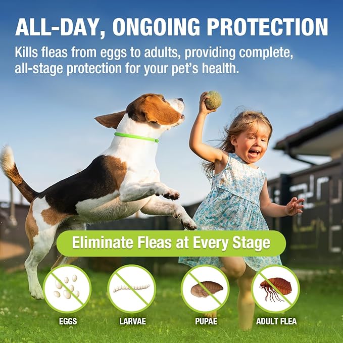 EcoVenger Flea & Tick Collar Repellent 2-Pack Green, Fits Both Dogs & Cats, Built-in Pant-Based Formula Strong Repellency Slow Release, Lasting Deterrence and Protection, Pleasant Aroma, Waterproof-PawvioPets