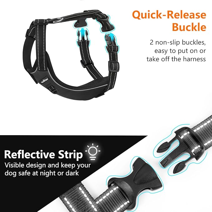 Dog Seat Belt Harness for Car, Dog Car Harness Adjustable Mesh Breathable & Dogs Seatbelt Safety Tether with Elastic Bungee for Small Medium Large Pets(Carbon Black, XL)-PawvioPets