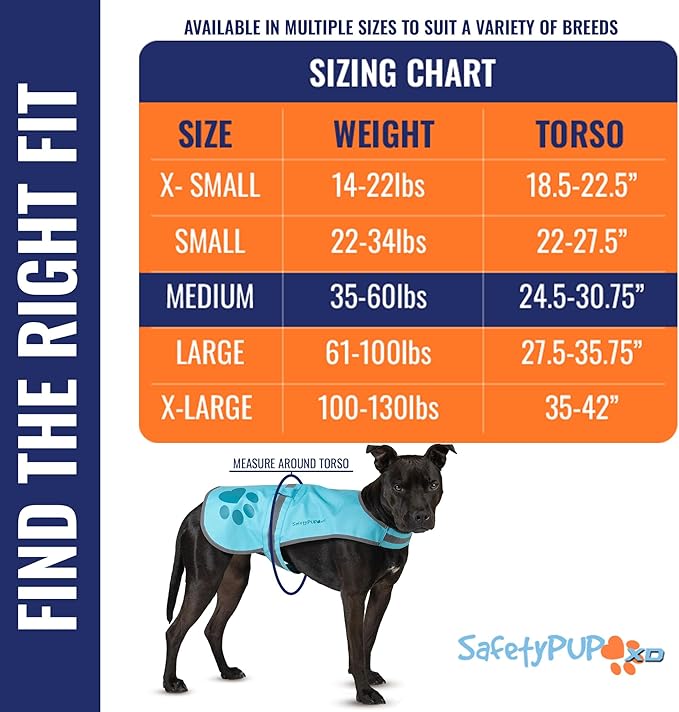 Dog Reflective Vest – Hi-Vis Fluorescent Visibility That Helps to Safeguard Your Pet On/Off Leash in Urban & Rural Areas (Teal, Medium)-PawvioPets