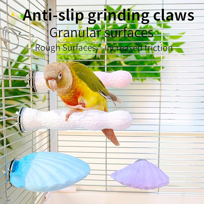 Bird Perches for Cage, Abrasive Surface High Calcium Mineral Parrot Perch Stand - Bird Nail File for Claw & Beak Health, Colorful Ceramic Bird Cage Accessories (Purple, Shell)-PawvioPets