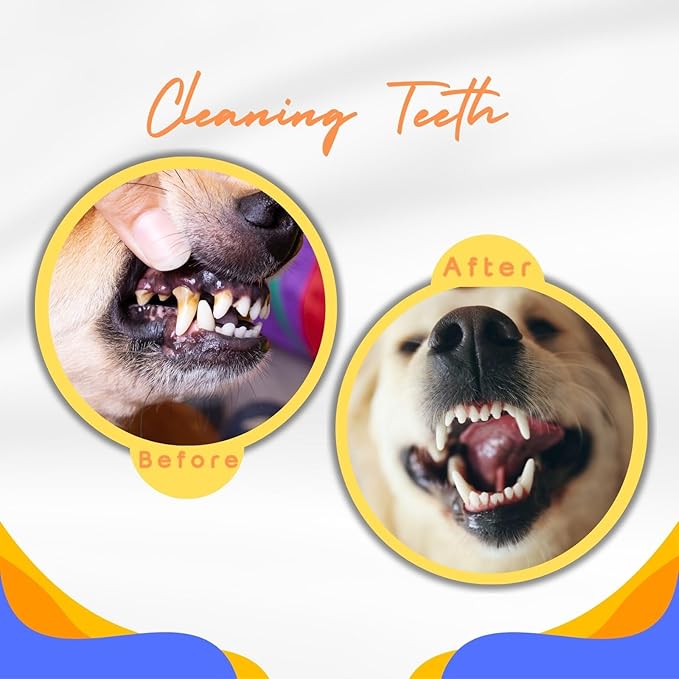 Durable Interactive Dog Toys for Aggressive Chewers,Puppy Teething Toys,Floating Fetch Balls,Bouncing Chew Balls,Tennis Balls for Dogs (2 Balls)-PawvioPets