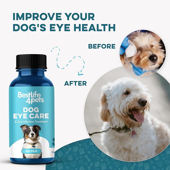 Dog Eye Care & Infection Treatment, Natural Dog Supplements for Conjunctivitis, Swelling, Dry Eyes and Discharge, Easy to Use, No More Struggle with Canine Drops, 400 Small Pills-PawvioPets