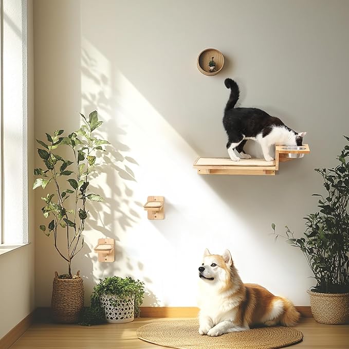 FUKUMARU Cat Wall Shelves, 3 In 1 Cats Walls Furniture Set, Food Station with 2 Steps , Solid Rubber Wood Perch, Suitable for Kitten Play, Nap, Eat, DIY Wall Jungle Gym-PawvioPets