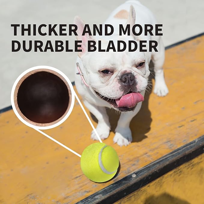 ALL FOR PAWS Interactive Super Bounce Tennis Balls Dog Toy, Pet Safe Toys for Exercise and Training, 2.5 Inch Diameter (6 Pack)-PawvioPets