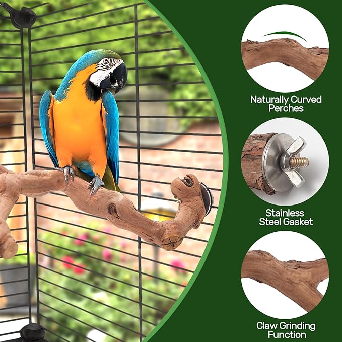 4-Piece Bird Perch Set with Rotating Ball Stand - Natural Wood Bird Gym & Playground for Parrots, Cockatiels, Budgies-PawvioPets
