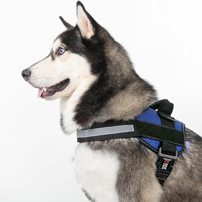 Dogline Dog Harness, Reflective No-Pull Adjustable Vest with Handle for Walking, Training, Breathable, No - Choke Harness for Small, Medium or Large Dogs Room for Patches Girth 33"-46" in Cyan Blue-PawvioPets