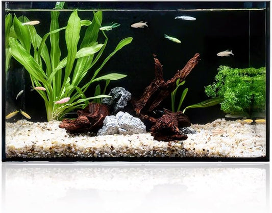 5 Gallon Clear Glass Fish Tank, Easy to Maintain Small Aquariumfor Betta, Goldfish, Snail,Shrimp and Aquatic Planting-PawvioPets