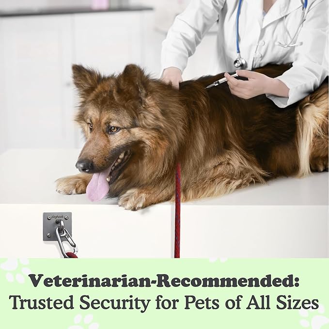 Canine Hitch- Secure Dog Leash Parking Wall Large Hook with Clip 6 Pack - Tie Out Stainless Steel & ABS Mounting Plate for Strength - Practical Lead Management for Home & Business-PawvioPets