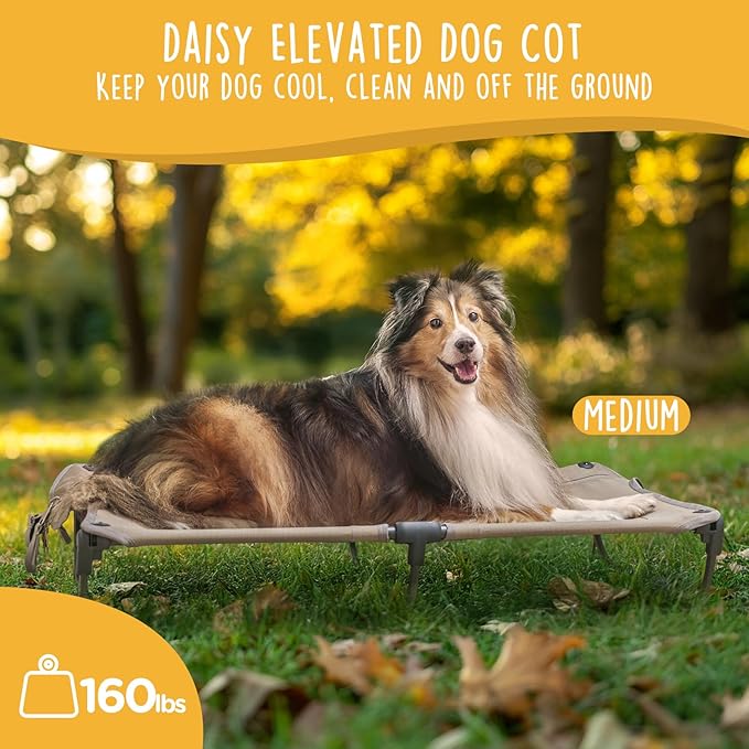 Daisy Cot, Medium Foldable Elevated Dog Bed, Portable Raised Outdoor Folding Dog Cot, Cooling, Chew Proof, Waterproof, Heavy Duty Up to 160 lbs for Camping/Home, Brown, 32"x 19"x6"-PawvioPets