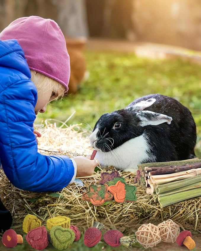 ERKOON 53 Bunny Chew Toys for Rabbits Teeth, Natural Rabbit Toys Apple Wood Sticks, Carrot, Timothy Grass for Small Pets, Hamster, Chinchilla, Guinea Pig Dental Care and Treat Teething(53)-PawvioPets